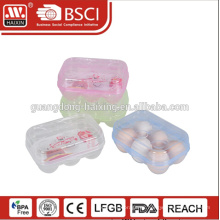 HAIXIN 6 10 12pcs huevo de plástico caja de embalaje